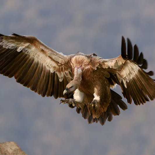 永久使用不收费的ddos流量攻击购买